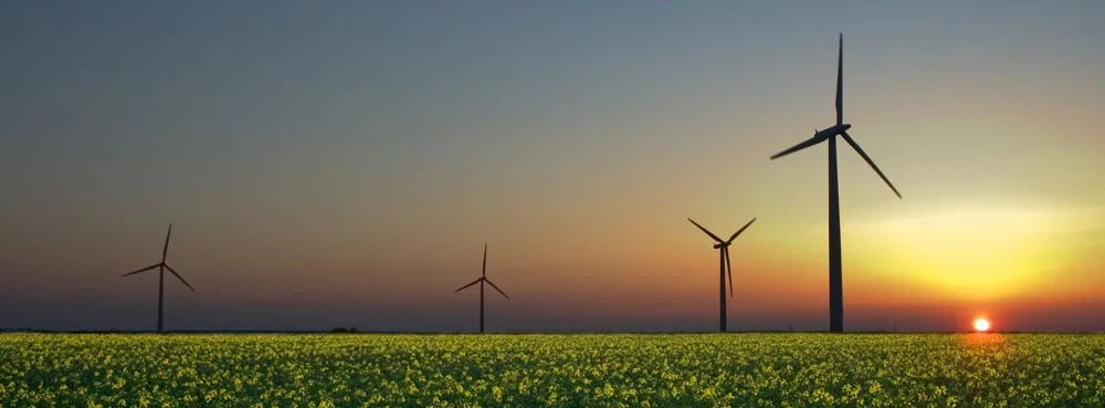 How many forms of energy can you identify in this photograph of a wind farm in Sandesneben, Germany?